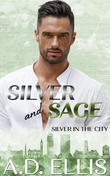 Read spicy gay MM Billionaire Romance novel Silver and Sage by A D Ellis